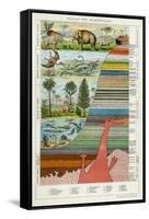 Geology and Palaeontology, C1880-null-Framed Stretched Canvas