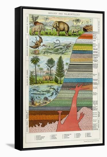 Geology and Palaeontology, C1880-null-Framed Stretched Canvas