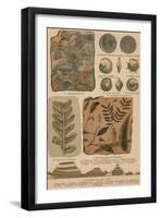 Geology and Paleontology, 1886-Science Source-Framed Premium Giclee Print