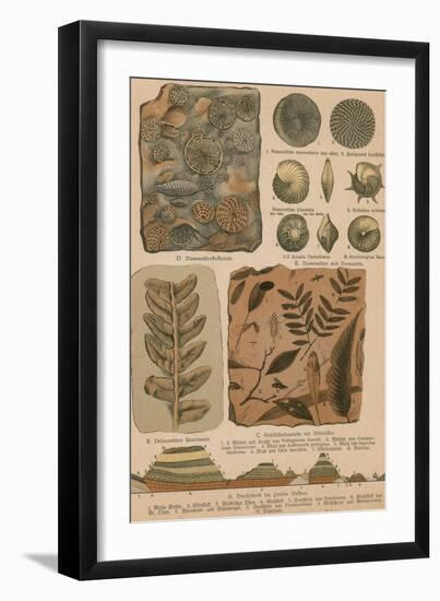 Geology and Paleontology, 1886-Science Source-Framed Premium Giclee Print