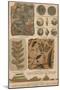 Geology and Paleontology, 1886-Science Source-Mounted Premium Giclee Print