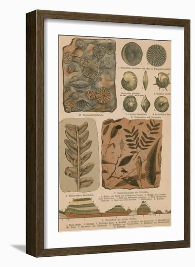 Geology and Paleontology, 1886-Science Source-Framed Giclee Print