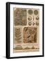 Geology and Paleontology, 1886-Science Source-Framed Giclee Print