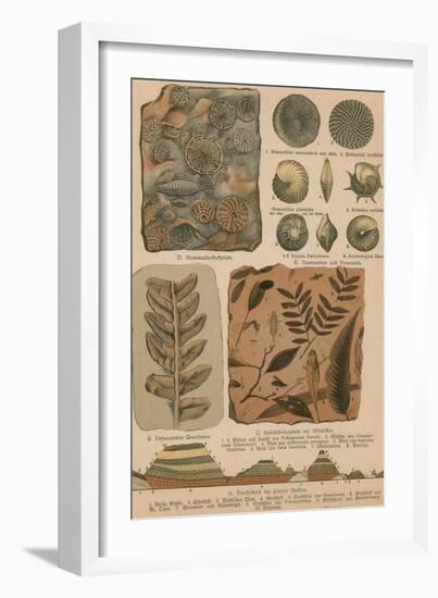 Geology and Paleontology, 1886-Science Source-Framed Giclee Print