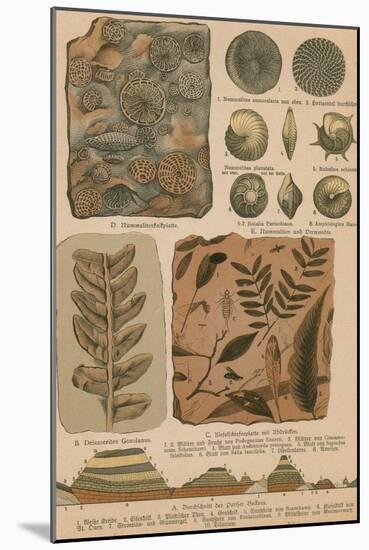 Geology and Paleontology, 1886-Science Source-Mounted Giclee Print