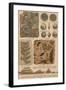 Geology and Paleontology, 1886-Science Source-Framed Giclee Print