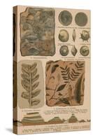 Geology and Paleontology, 1886-Science Source-Stretched Canvas