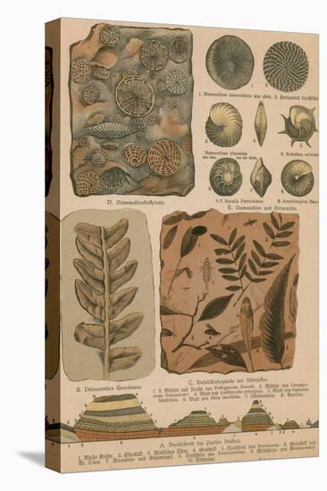 Geology and Paleontology, 1886-Science Source-Stretched Canvas