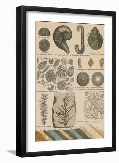 Geology and Paleontology, 1886-Science Source-Framed Giclee Print