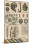 Geology and Paleontology, 1886-Science Source-Mounted Giclee Print