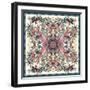 Geometric Floral Doodle with Ornate Lace Frame-Andriy Lipkan-Framed Art Print