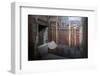 Geometric Frescoes of the Cubicola in the Villa Dei Misteri, Pompeii, Campania, Italy-Oliviero Olivieri-Framed Photographic Print