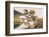 Geometric Mountain Landscape with River and Green Hills-Paolo De Gasperis-Framed Photographic Print