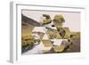 Geometric Mountain Landscape with River and Green Hills-Paolo De Gasperis-Framed Photographic Print