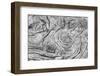 Geometric pattern in eroded driftwood, Bandon Beach, Oregon-Adam Jones-Framed Photographic Print