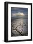 Geometric patterns in drying mud, Alvord Lake, a shallow alkali lake in Harney County, Oregon-Alan Majchrowicz-Framed Photographic Print