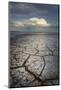 Geometric patterns in drying mud, Alvord Lake, a shallow alkali lake in Harney County, Oregon-Alan Majchrowicz-Mounted Photographic Print