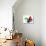 Geometric Shapes, Artwork-Laguna Design-Stretched Canvas displayed on a wall