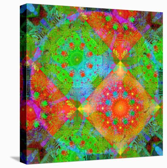 Geometrical Ornament of Flower Photos-Alaya Gadeh-Stretched Canvas