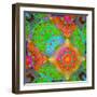 Geometrical Ornament of Flower Photos-Alaya Gadeh-Framed Photographic Print