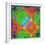 Geometrical Ornament of Flower Photos-Alaya Gadeh-Framed Photographic Print