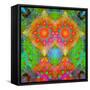 Geometrical Ornament of Flower Photos-Alaya Gadeh-Framed Stretched Canvas