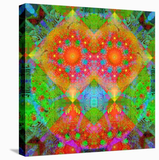 Geometrical Ornament of Flower Photos-Alaya Gadeh-Stretched Canvas