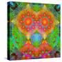 Geometrical Ornament of Flower Photos-Alaya Gadeh-Stretched Canvas