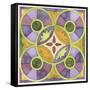 Geometry and Color 1-Julie Goonan-Framed Stretched Canvas