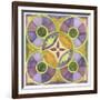 Geometry and Color 1-Julie Goonan-Framed Giclee Print