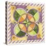 Geometry and Color 4-Julie Goonan-Stretched Canvas