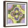 Geometry and Color 5-Julie Goonan-Framed Giclee Print