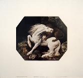 A Lion Devouring a Horse-Geore Stubbs-Art Print