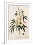 Gramercy White