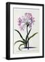 Black Frame