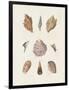 Gramercy Black