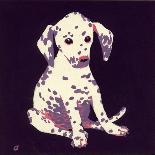 Dalmation Puppy, 1950s-George Adamson-Giclee Print