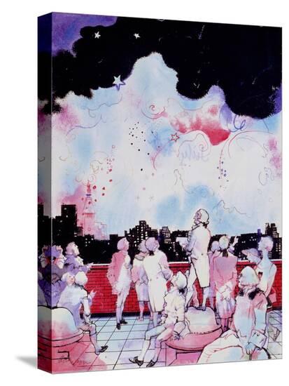 Stretched Canvas Print, , large