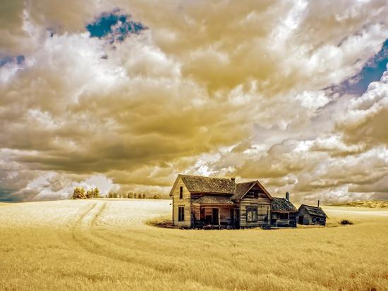 Photographic Print, , large
