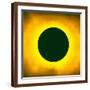 Brown Frame