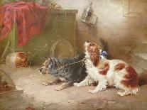 A Terrier and a King Charles Spaniel Scaring a Rat-George Armfield-Giclee Print