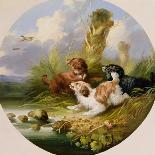 Three Spaniels Flushing Mallard-George Armfield-Giclee Print