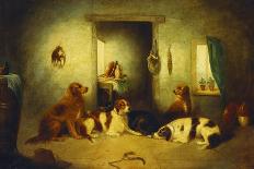 Spaniels Putting Up a Pheasant-George Armfield-Giclee Print