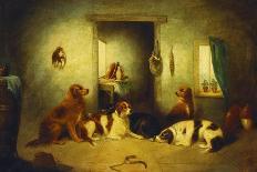 Three Spaniels Flushing Mallard-George Armfield-Stretched Canvas