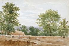 A Western View of Part of Westminster and Bird Cage Walk, from Mill House-George Arnald-Giclee Print