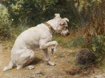 Pups-George Augustus Holmes-Giclee Print