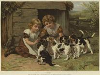 Pups-George Augustus Holmes-Giclee Print