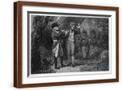 Brown Frame