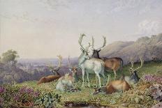 Deer in a Landscape-George Barret the Younger-Framed Giclee Print