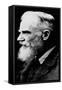 George Bernard Shaw (1856-195) Irish Dramatist, Critic and Fabian, C1930-null-Framed Stretched Canvas